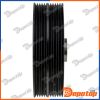 Poulie damper vilebrequin pour FIAT | RKP-FT-016, 0515T4